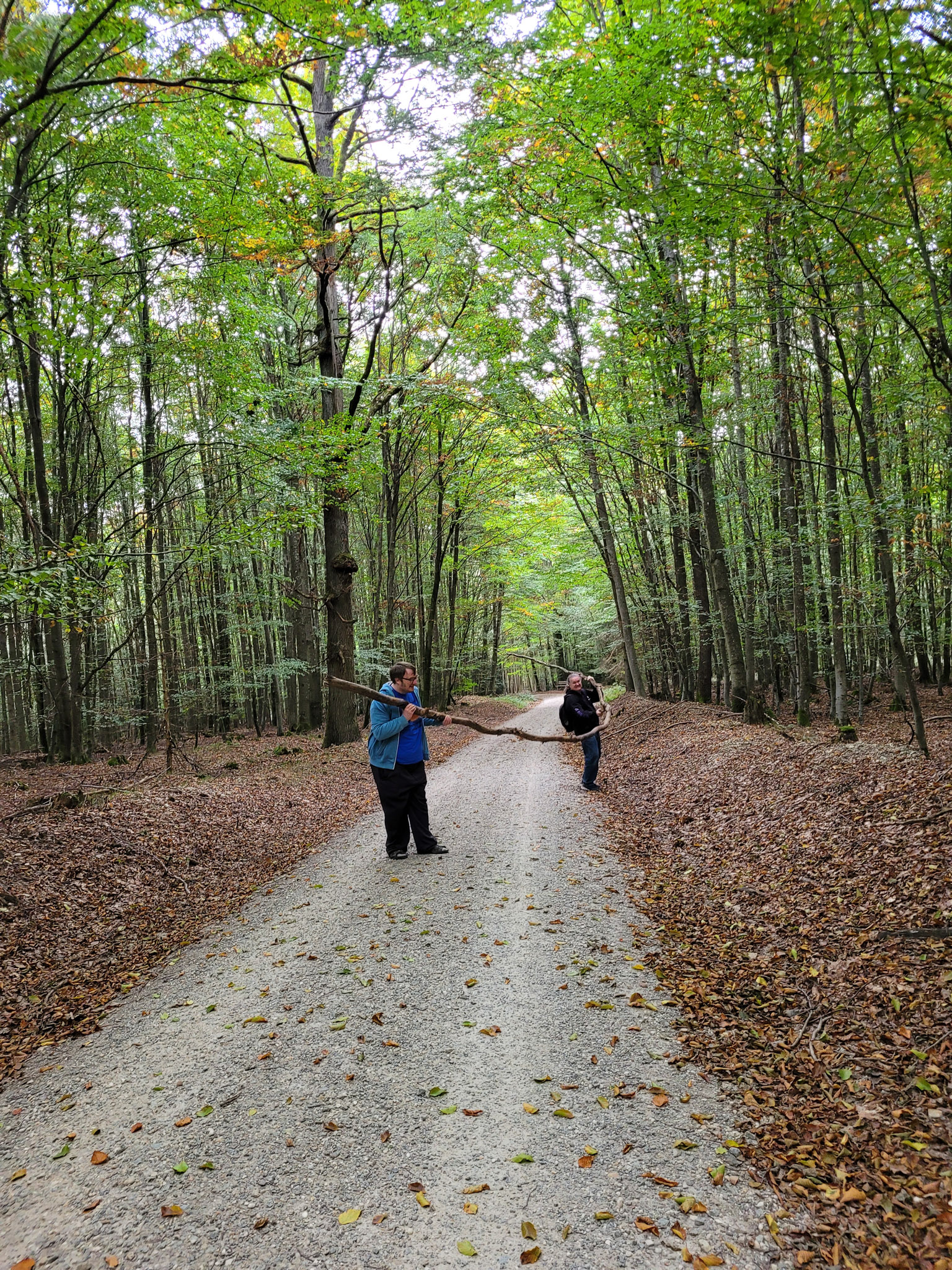 20231014101347 20231014 101347